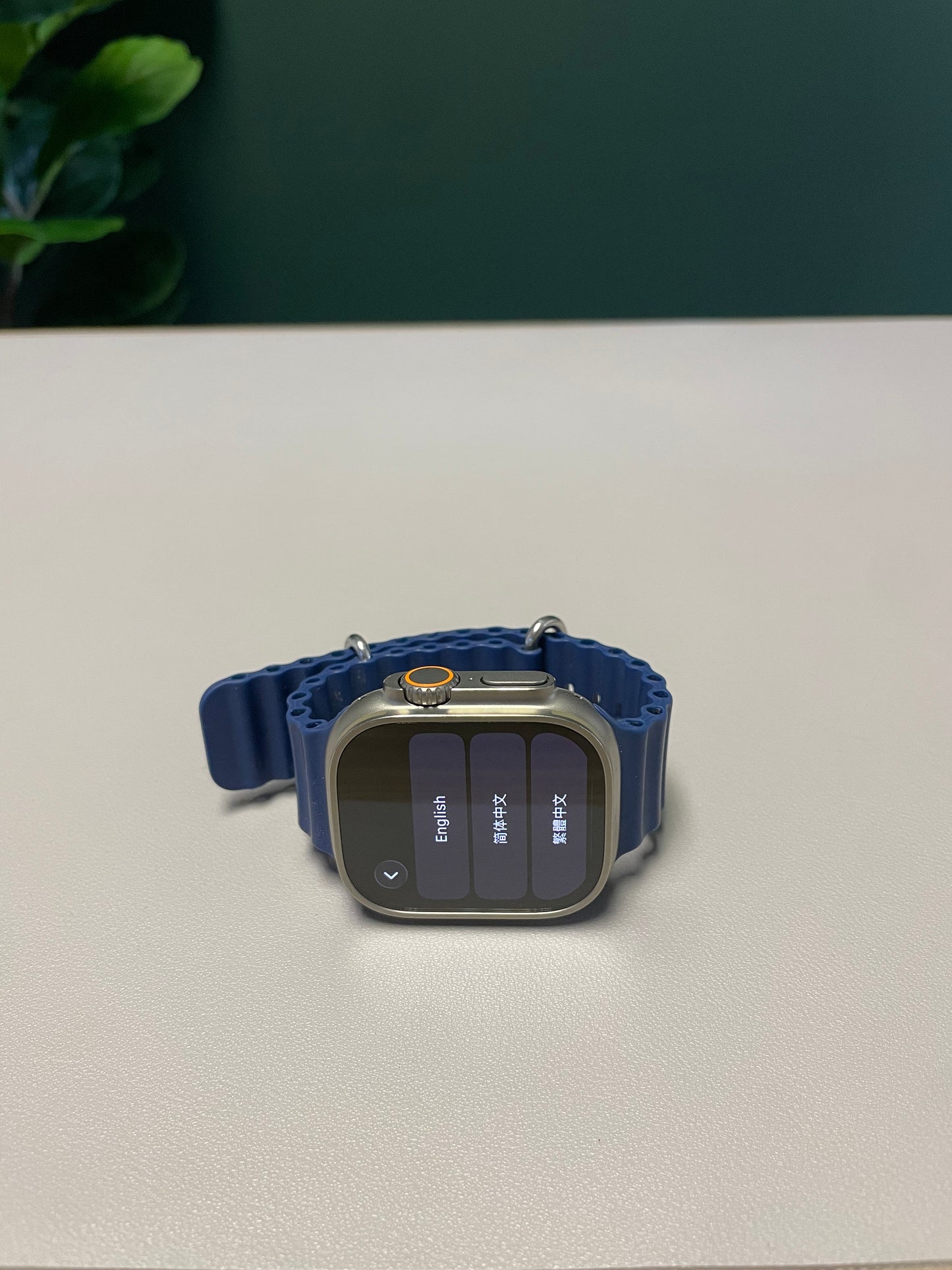 Apple Watch Ultra 1 Titanium Case With Blue Band (Pre-owned | A-Grade)